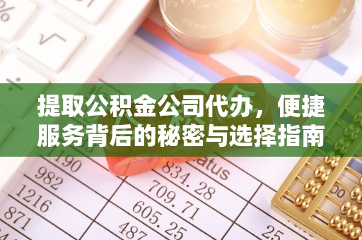 绥棱提取公积金公司代办，便捷服务背后的秘密与选择指南