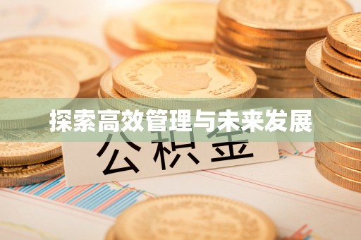 绥棱探索高效管理与未来发展