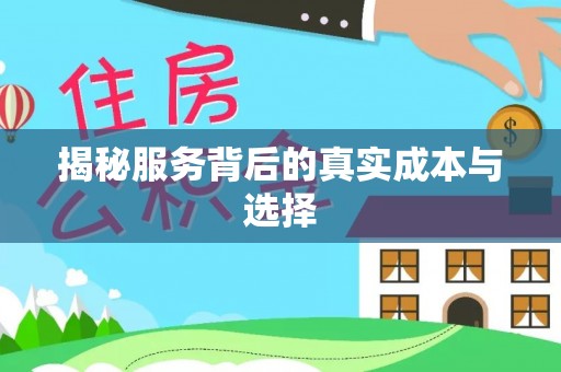 绥棱揭秘服务背后的真实成本与选择