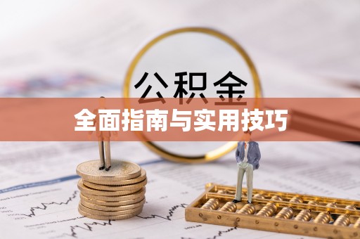 绥棱全面指南与实用技巧