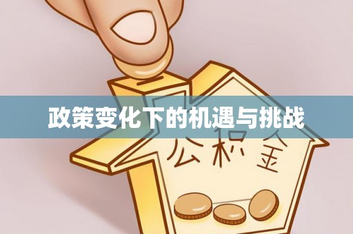 绥棱政策变化下的机遇与挑战