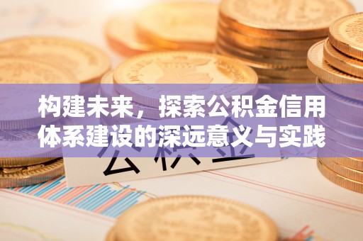 绥棱构建未来，探索公积金信用体系建设的深远意义与实践路径