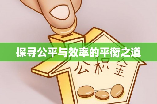 绥棱探寻公平与效率的平衡之道