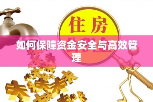 绥棱如何保障资金安全与高效管理
