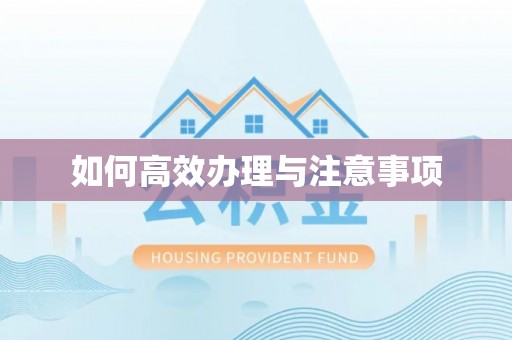 绥棱如何高效办理与注意事项