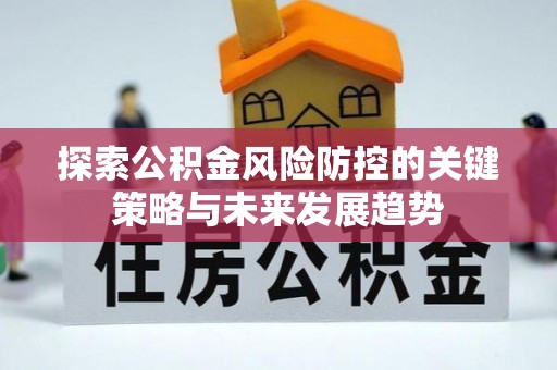 绥棱探索公积金风险防控的关键策略与未来发展趋势
