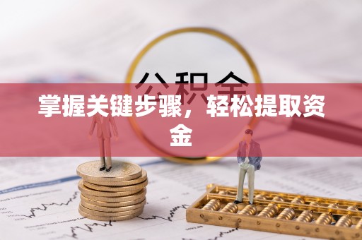 绥棱掌握关键步骤，轻松提取资金