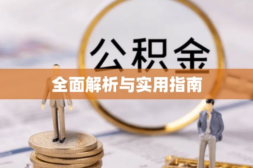 绥棱全面解析与实用指南