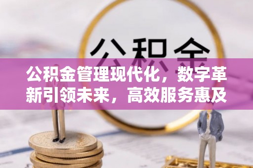 绥棱公积金管理现代化，数字革新引领未来，高效服务惠及民生