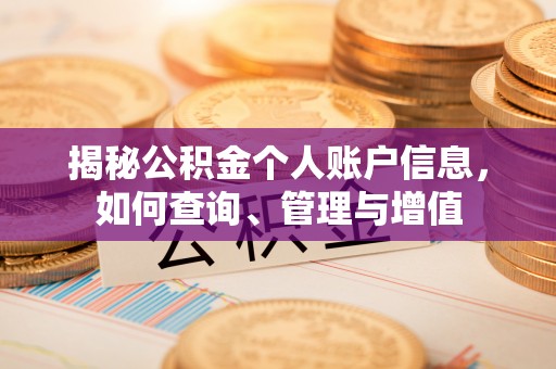 绥棱揭秘公积金个人账户信息，如何查询、管理与增值