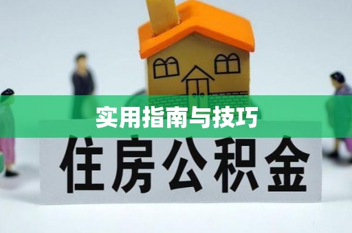 绥棱实用指南与技巧