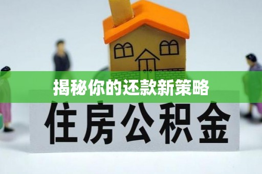 绥棱揭秘你的还款新策略