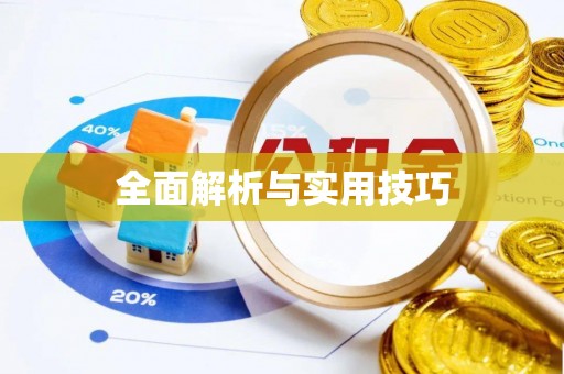 绥棱全面解析与实用技巧