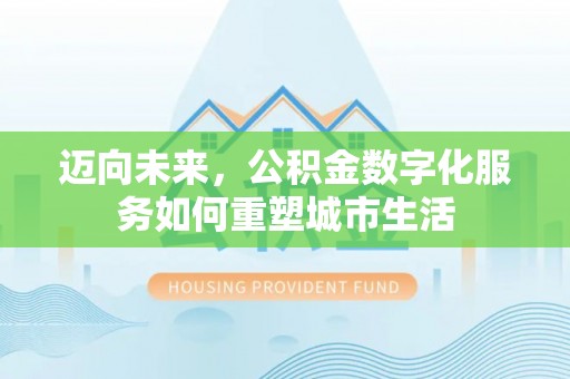 绥棱迈向未来，公积金数字化服务如何重塑城市生活