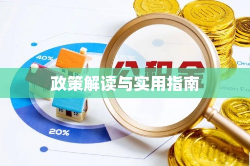 绥棱政策解读与实用指南