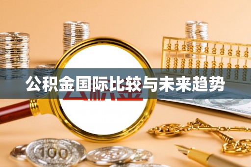 绥棱公积金国际比较与未来趋势