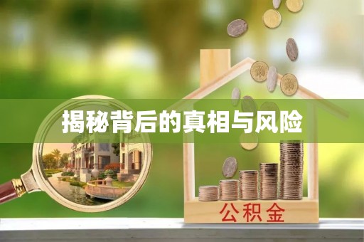 绥棱揭秘背后的真相与风险