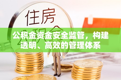 绥棱公积金资金安全监管，构建透明、高效的管理体系