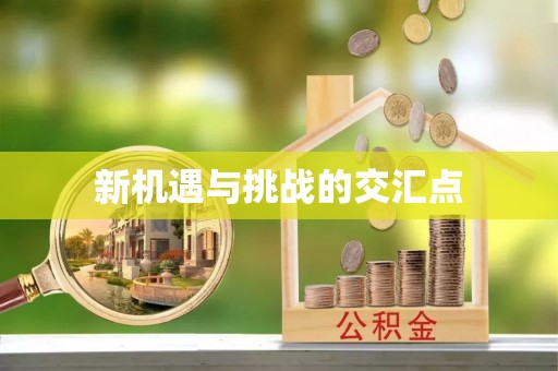 绥棱新机遇与挑战的交汇点