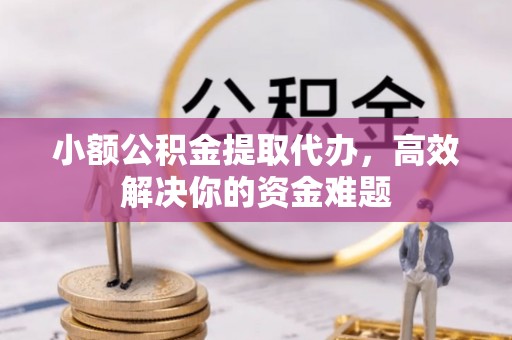 绥棱小额公积金提取代办，高效解决你的资金难题