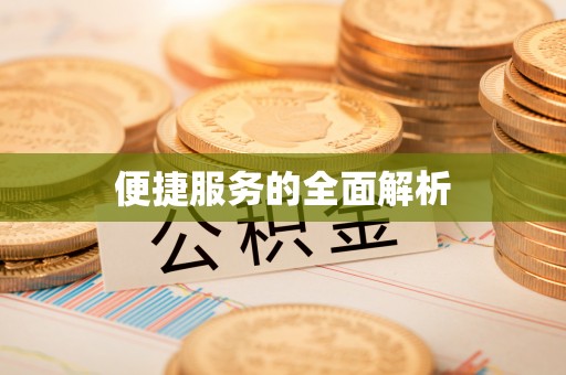 绥棱便捷服务的全面解析