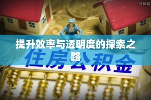 绥棱提升效率与透明度的探索之路