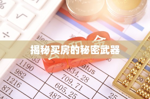 绥棱揭秘买房的秘密武器
