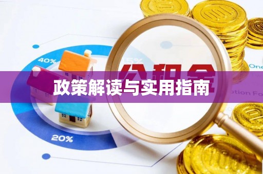 绥棱政策解读与实用指南