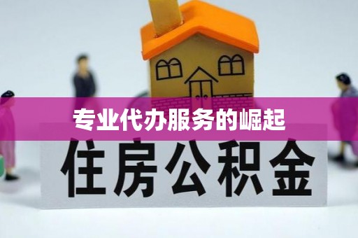 绥棱专业代办服务的崛起