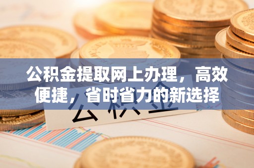 绥棱公积金提取网上办理，高效便捷，省时省力的新选择