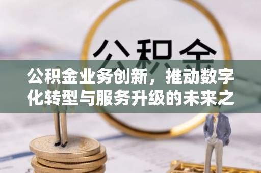 绥棱公积金业务创新，推动数字化转型与服务升级的未来之路