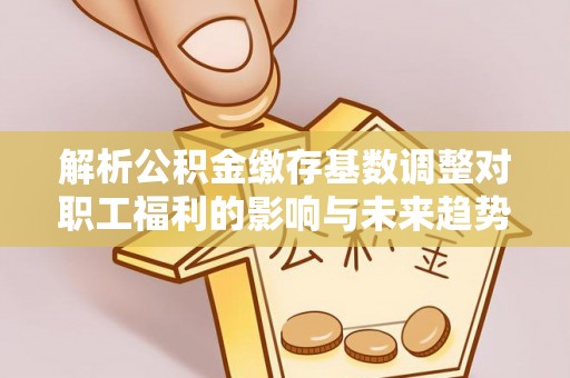 绥棱解析公积金缴存基数调整对职工福利的影响与未来趋势