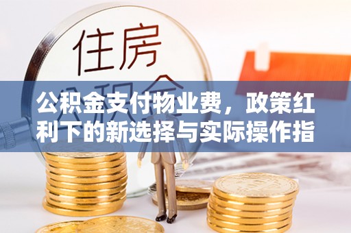 绥棱公积金支付物业费，政策红利下的新选择与实际操作指南