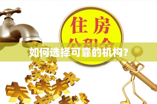 绥棱如何选择可靠的机构？