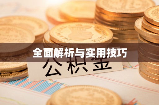 绥棱全面解析与实用技巧