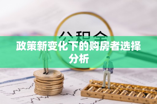 绥棱政策新变化下的购房者选择分析
