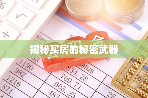 绥棱揭秘买房的秘密武器