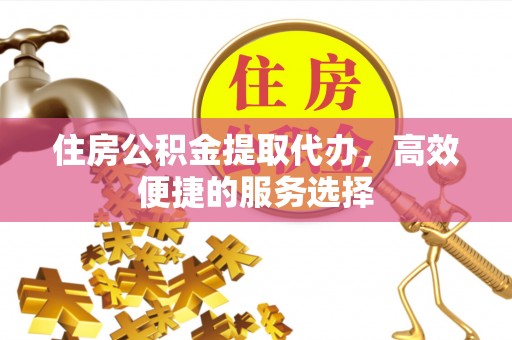 绥棱住房公积金提取代办，高效便捷的服务选择