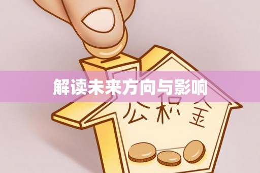绥棱解读未来方向与影响