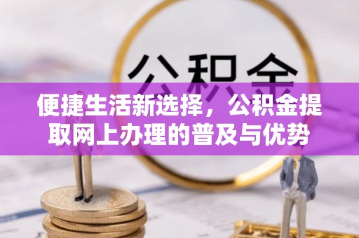 绥棱便捷生活新选择，公积金提取网上办理的普及与优势