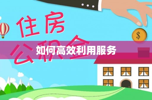 绥棱如何高效利用服务