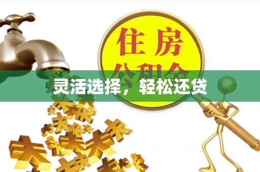 绥棱灵活选择，轻松还贷