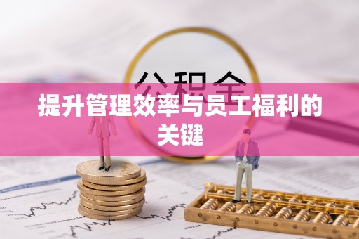 绥棱提升管理效率与员工福利的关键
