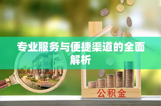 绥棱专业服务与便捷渠道的全面解析