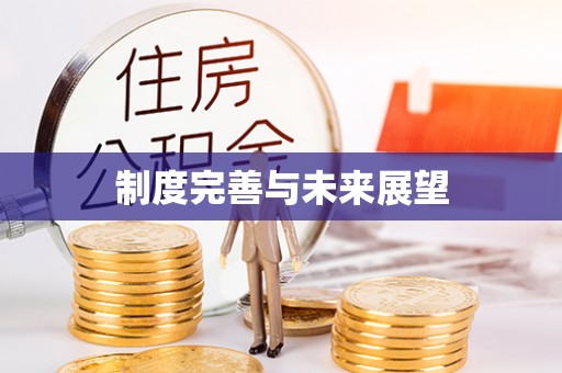 绥棱制度完善与未来展望