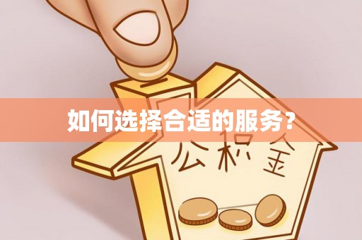 绥棱如何选择合适的服务？