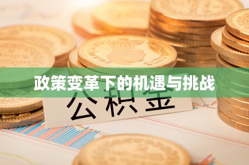 绥棱政策变革下的机遇与挑战