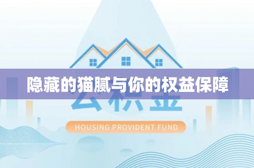 绥棱隐藏的猫腻与你的权益保障