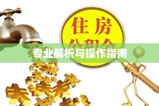 绥棱专业解析与操作指南