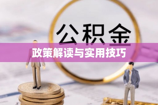 绥棱政策解读与实用技巧